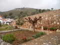 Nea Makri. Monastery of St. Efraim Greece