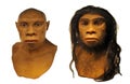 Neanderthal man face