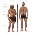 Neanderthal vs modern human Royalty Free Stock Photo