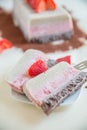 Neapolitan ice cream cake Royalty Free Stock Photo