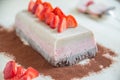 Neapolitan ice cream cake Royalty Free Stock Photo