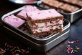 neapolitan ice cream sandwich in an open metal lunchbox