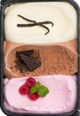 Neapolitan Ice Cream Royalty Free Stock Photo