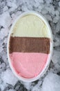 Neapolitan Ice Cream, Top View Royalty Free Stock Photo