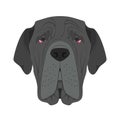 Neapolitan Mastiff dog isolated on white background vector illustration