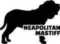 Neapolitan Mastiff silhouette real word