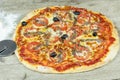 Neapolitan pizza anchovy pizza, tomato and olives Royalty Free Stock Photo