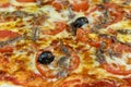 Neapolitan pizza anchovy pizza, tomato and olives Royalty Free Stock Photo