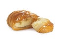 Neapolitan sfogliatella riccia Royalty Free Stock Photo