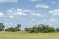 Near desert. desert. steppe.