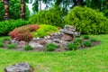 Near the entrance to the Senior Park, in the flower garden, there is a turtle made of plants and stones