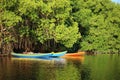 Near forest multicolored boats moored under trees on the riverbank near the forest. Parnaiba River, Northeast Brazil, MaranhÃÂ£o. Royalty Free Stock Photo