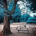 Infrared view of outdoor public park