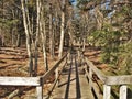 Virginia`s Grayson Highlands State Park