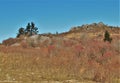 Virginia`s Grayson Highlands State Park