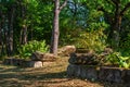 Near-natural architecturally designed garden