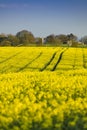 Near Normanby, Lincolnshire, UK, July 2017, View of Lincolnshire Wolds from Viking Way