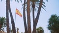 near the palm trees with long leaves, the Spanish flag flies