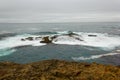 Near shore reef at Mendocino Headlands State Park.