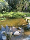 Humid Biotope in Upper Bavaria Royalty Free Stock Photo