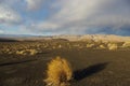 Near Ubehebe Crater, Death Valley, California Royalty Free Stock Photo