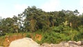 Nearly dried out Guatemalan river