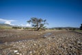 Dried river in Damaraland, Namibia