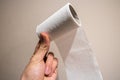 Nearly finished toilet paper roll in hand Royalty Free Stock Photo