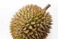 Nearly round shaped of Durian fruit isolated on white background Royalty Free Stock Photo