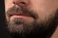 Neat beard. Close-up of bearded young man. Close up on handsome hipster male beard. Stylish well-groomed beard. Closeup Royalty Free Stock Photo