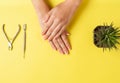 Neat beautiful french manicure on the hands of a young woman. Tool for cutting nails. Minimalism concept for nail care