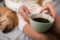 Neat female legs and coffee in a cup. Mongrel dog. Pale complexion.