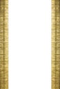 Neat Gold Coin Stacks Forming Page Frame Side Borders