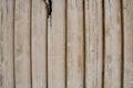 Neat light brown wooden plank background Royalty Free Stock Photo