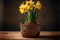 neat small bouquet of golden daffodil flower in pot on wooden table