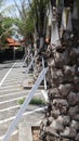 neat stone path. beautiful little street. streets in the middle of parks and gardens. cracked cement roads.