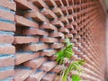 neatly arranged bricks Royalty Free Stock Photo