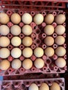 neatly arranged egg rack