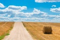 Neatly cultivated field after harvest