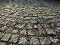 Neatly laid out old paving stones. Pavement on the square of the old town. Square and rectangular stones on the ground, covered Royalty Free Stock Photo