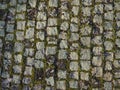 Neatly laid out old paving stones. Pavement on the square of the old town. Square and rectangular stones on the ground, covered Royalty Free Stock Photo