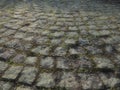 Neatly laid out old paving stones. Pavement on the square of the old town. Square and rectangular stones on the ground, covered Royalty Free Stock Photo