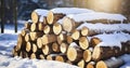 A Neatly Piled Stack of Chopped Wood, Blanketed with Snow, on a Bright and Cold Sunny Winter Day