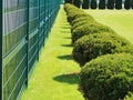 Neatly planted shrubs trimmed lawn on private property