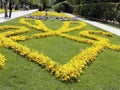 Neatly planted yellow flowers Mirabell Gardens.