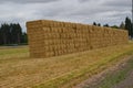 Stacked Hay bales near Albany, Oregon Royalty Free Stock Photo