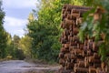 a neatly stacked pile of freshly cut logs ready for processing Royalty Free Stock Photo