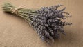 Tied bundle of dried lavender Lavandula rests on a textured burlap Royalty Free Stock Photo
