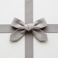 A neatly tied gray bow is Royalty Free Stock Photo