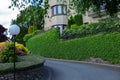 Neatly trimmed bushes on Europe